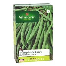 Graines Haricot Nain Vert Triomphe de Farcy - VILMORIN