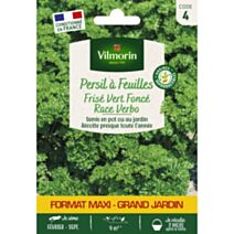 Graines Persil Frisé Vert Foncé Race Verbo - VILMORIN