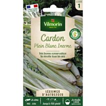Graines Cardon Plein Blanc Inerme - VILMORIN