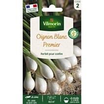Graines Oignon Blanc Premier - VILMORIN