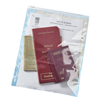 Set de 20 sachets plastiques transparents 10 x 8 cm - MOTTEZ