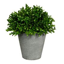 Plante artificielle buis vert Ø12 x H 21 cm - OSTARIA