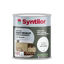 Peinture Renov meubles et objets blanc absolu mat velours 1L - SYNTILOR