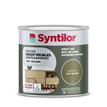 Peinture Renov meubles et objets lentille mat velours 0,5L - SYNTILOR