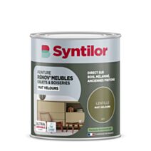 Peinture Renov meubles et objets lentille mat velours 1L - SYNTILOR