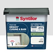 Peinture Rénov' Cuisine & Bain Biosourcee Gris Perle satiné 0,75L - SYNTILOR