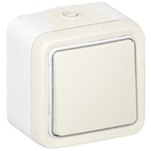 Interrupteur simple plexo apparent 10a - LEGRAND