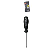Tournevis s2 tt20 xl100mm d5mm