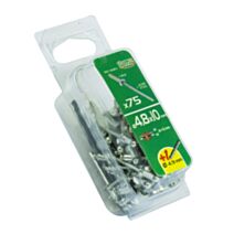 rivets aveugle 4.8x10 x75pcs - FISCHER DAREX
