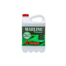 Premium 4 Temps en 5L - MARLINE