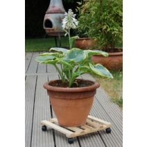 Roule pot bois FSC Naturel 0,35x0,35m