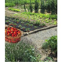 Film de paillage spécial fraises 40µ 1,40x10m - INTERMAS