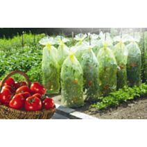 housse de croissance tomates ldpe 50 microns 0,60x10m - NORTENE