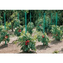 Tuteur tomate réserve eau 20x20mmx1,50
