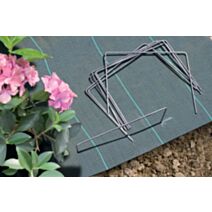 Agrafes de fixation x100