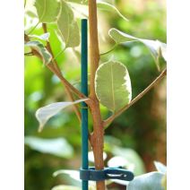 Tuteur bambou refendu teintés Vert 0,60m