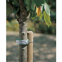 Collier en mousse pour arbre Mouss 0,60m vert - NORTENE