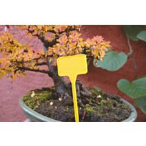 Étiquettes Label 15 à planter x 10 - NORTENE