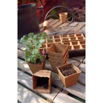 20 pots carrés 100% biodégradables marron 6x6cm