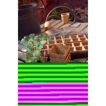 14 pots carrés 100% biodégradables marron 8x8cm