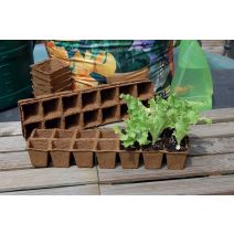 Plaques de culture 100% biodégradable 60 pots de 5x5cm