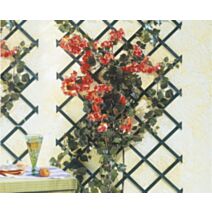 Trellis extensible bois lasuré vert 1x2m TRELLIWOOD - INTERMAS