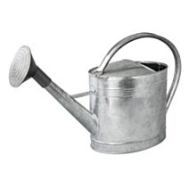 Arrosoir acier galvanisé avec pomme (13 litres)