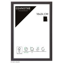 Cadre photo Tekno Noir 18x24cm - CEANOTHE