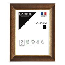 Cadre 40x50 hades filet or