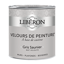 Peinture multisupport velours gris saunier 0,5L - LIBERON