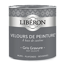 Peinture multisupport velours gris gravure 0,5L - LIBERON