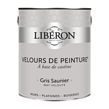 Peinture multisupport velours gris saunier 2,5L - LIBERON