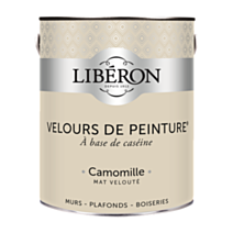 Peinture multisupport velours camomille 2,5L - LIBERON