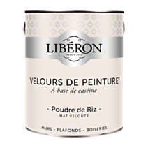 Peinture multisupport velours poudre de riz 2,5L - LIBERON