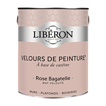 Peinture multisupport velours rose bagatelle 2,5L - LIBERON