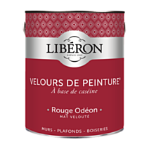 Peinture multisupport velours rouge odéon 2,5L - LIBERON