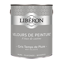 Peinture multisupport velours gris temps de pluie 2,5L - LIBERON