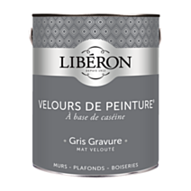 Peinture multisupport velours gris gravure 2,5L - LIBERON
