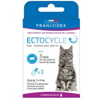Pipette anti-puce chat 3 mois