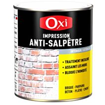 Traitement anti salpêtre 2,5l