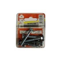 Boulons TRCC acier zingué 6x40mm - Les 5 pièces