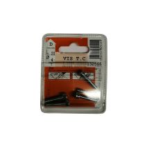 Vis tête cylindrique 6 pans creux acier zingué L.20 ø4mm - Les 5 pièces