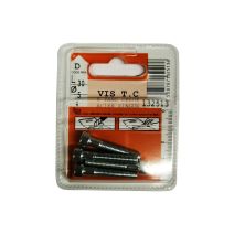 Vis tête cylindrique 6 pans creux acier zingué L.30 ø5mm - Les 4 pièces