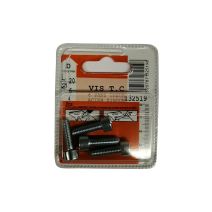 Vis tête cylindrique 6 pans creux acier zingué L.20 ø6mm - Les 4 pièces