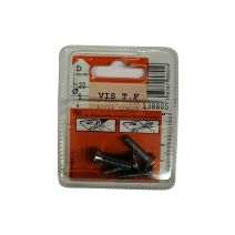 Vis tête fraisée 6 pans creux acier zingué L.20 ø5mm - Les 4 pièces