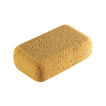 Eponge petit modèle