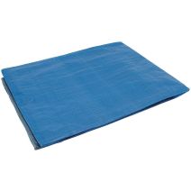 Bâche de protection 2 x 3 m - COGEX