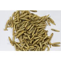 Insectes séchés 250g naturel - ZOLUX