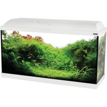 Kit aquarium iseo tout équipé - 84L - noir