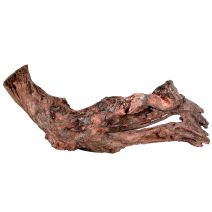 Décor aquarium racine mangrove small - 15 à 25cm